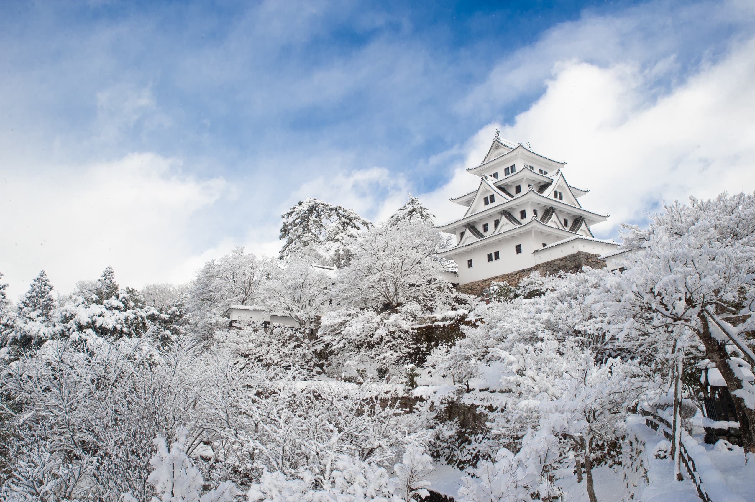 郡上八幡城の雪景色