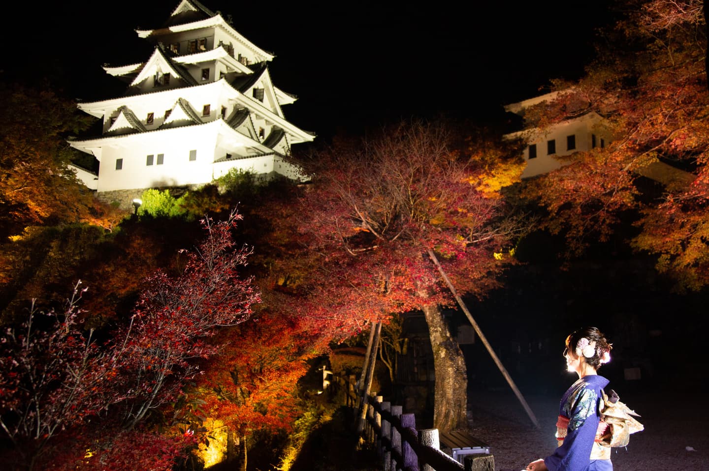 郡上八幡城ライトアップ